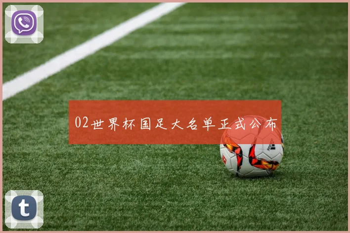 02世界杯国足大名单正式公布
